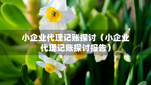 小企業(yè)代理記賬探討（小企業(yè)代理記賬探討報(bào)告）