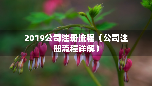 2019公司注冊(cè)流程（公司注冊(cè)流程詳解）