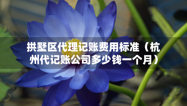 拱墅區(qū)代理記賬費用標準（杭州代記賬公司多少錢一個月）