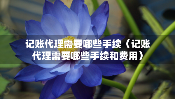 記賬代理需要哪些手續(xù)（記賬代理需要哪些手續(xù)和費用）