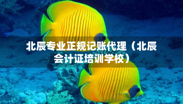北辰專業(yè)正規(guī)記賬代理（北辰會計證培訓學校）