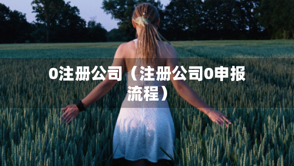 0注冊(cè)公司（注冊(cè)公司0申報(bào)流程）