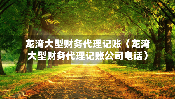龍灣大型財(cái)務(wù)代理記賬（龍灣大型財(cái)務(wù)代理記賬公司電話）