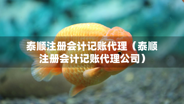 泰順注冊會(huì)計(jì)記賬代理（泰順注冊會(huì)計(jì)記賬代理公司）