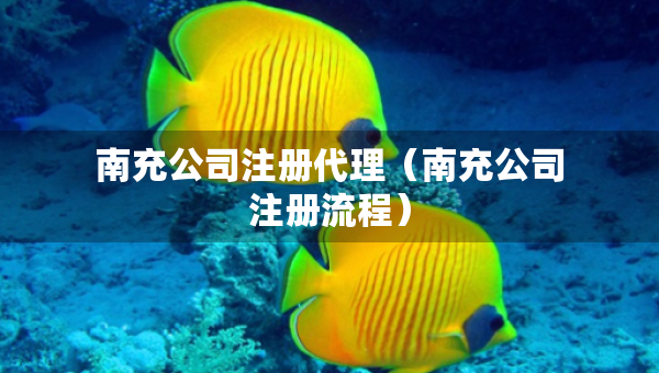 南充公司注冊代理（南充公司注冊流程）
