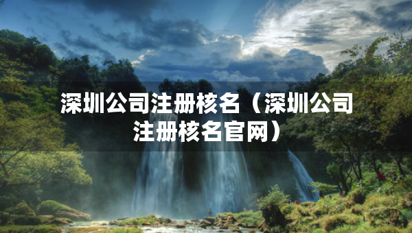 深圳公司注冊核名（深圳公司注冊核名官網(wǎng)）