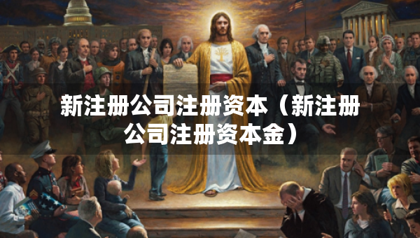 新注冊(cè)公司注冊(cè)資本（新注冊(cè)公司注冊(cè)資本金）