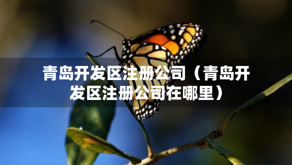 青島開發(fā)區(qū)注冊公司（青島開發(fā)區(qū)注冊公司在哪里）