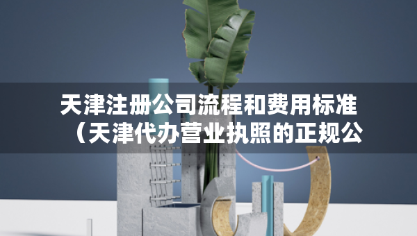 天津注冊公司流程和費用標準（天津代辦營業(yè)執(zhí)照的正規(guī)公司）