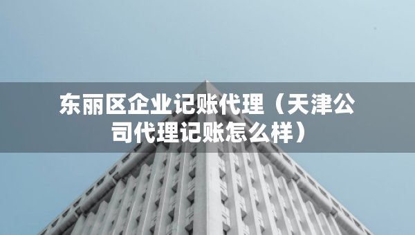東麗區(qū)企業(yè)記賬代理（天津公司代理記賬怎么樣）