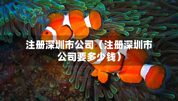 注冊(cè)深圳市公司（注冊(cè)深圳市公司要多少錢(qián)）