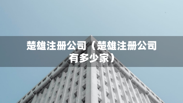 楚雄注冊公司（楚雄注冊公司有多少家）