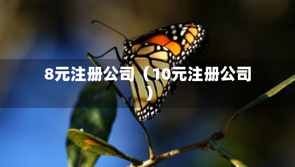 8元注冊公司（10元注冊公司）
