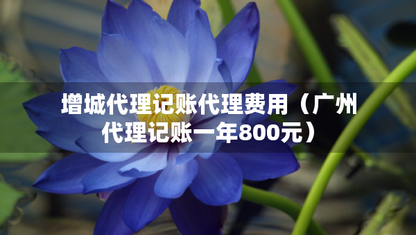 增城代理記賬代理費(fèi)用（廣州代理記賬一年800元）