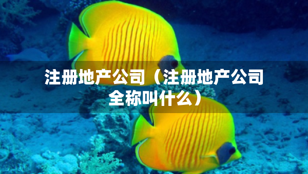 注冊(cè)地產(chǎn)公司（注冊(cè)地產(chǎn)公司全稱叫什么）
