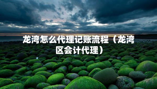 龍灣怎么代理記賬流程（龍灣區(qū)會計代理）