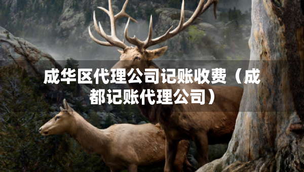 成華區(qū)代理公司記賬收費（成都記賬代理公司）