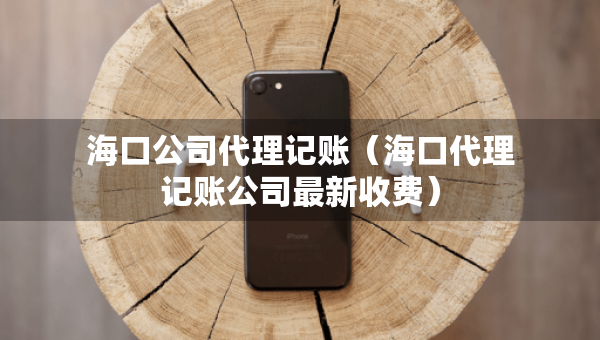海口公司代理記賬（?？诖碛涃~公司最新收費）