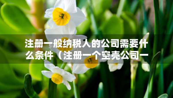 注冊(cè)一般納稅人的公司需要什么條件（注冊(cè)一個(gè)空殼公司一年交多少費(fèi)用）