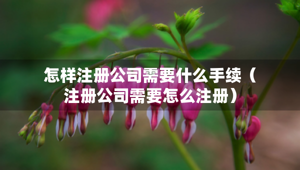 怎樣注冊(cè)公司需要什么手續(xù)（注冊(cè)公司需要怎么注冊(cè)）