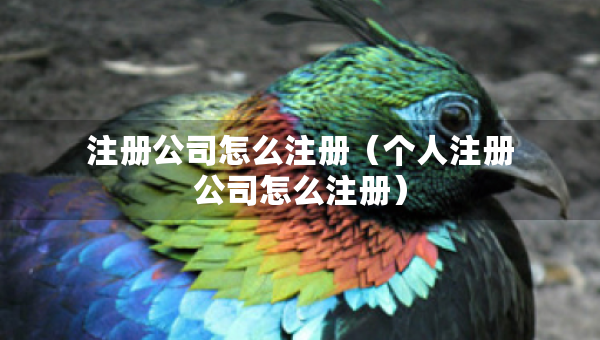 注冊(cè)公司怎么注冊(cè)（個(gè)人注冊(cè)公司怎么注冊(cè)）