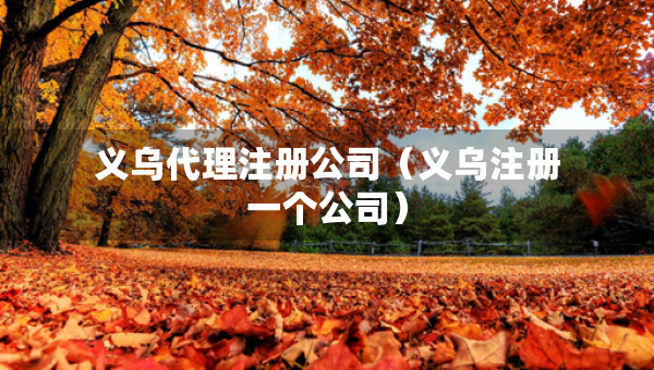 義烏代理注冊公司（義烏注冊一個公司）