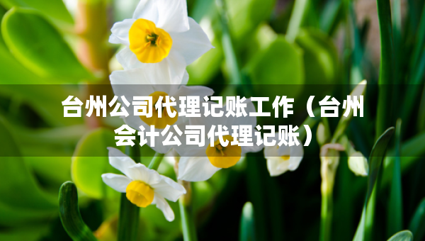 臺州公司代理記賬工作（臺州會計(jì)公司代理記賬）