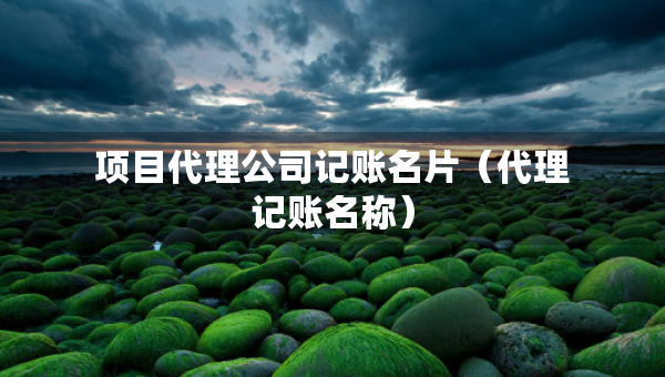 項目代理公司記賬名片（代理記賬名稱）