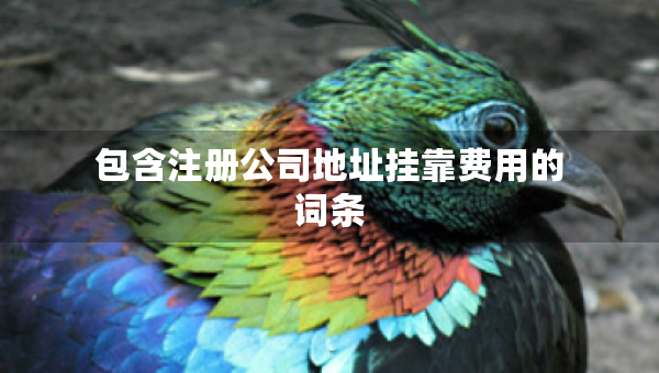 包含注冊公司地址掛靠費(fèi)用的詞條