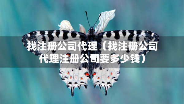 找注冊公司代理（找注冊公司代理注冊公司要多少錢）
