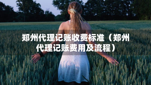 鄭州代理記賬收費標準（鄭州代理記賬費用及流程）