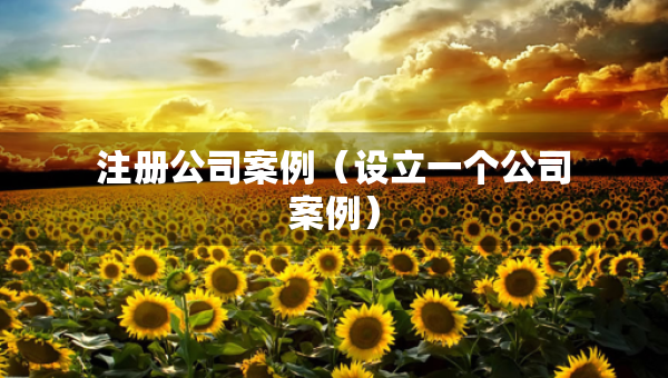 注冊(cè)公司案例（設(shè)立一個(gè)公司案例）