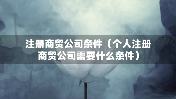 注冊(cè)商貿(mào)公司條件（個(gè)人注冊(cè)商貿(mào)公司需要什么條件）