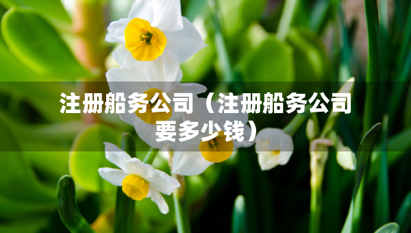 注冊船務(wù)公司（注冊船務(wù)公司要多少錢）