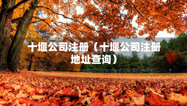 十堰公司注冊（十堰公司注冊地址查詢）