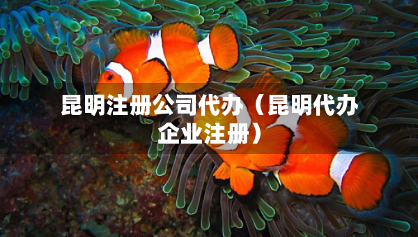 昆明注冊(cè)公司代辦（昆明代辦企業(yè)注冊(cè)）