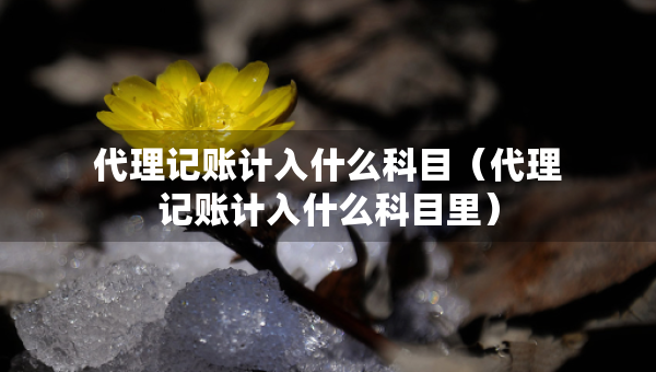 代理記賬計(jì)入什么科目（代理記賬計(jì)入什么科目里）