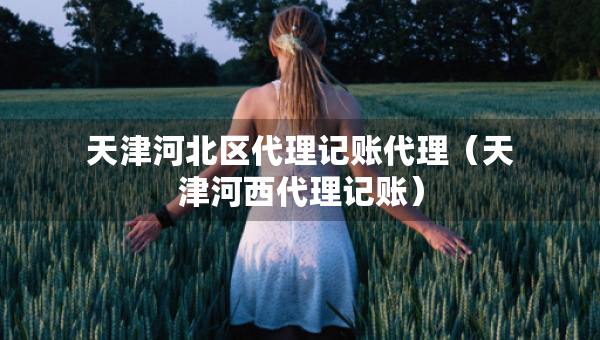 天津河北區(qū)代理記賬代理（天津河西代理記賬）