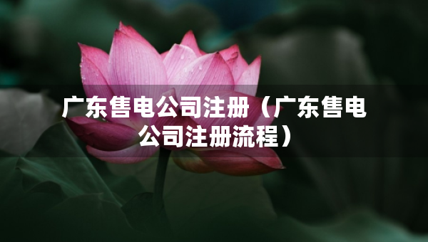 廣東售電公司注冊（廣東售電公司注冊流程）