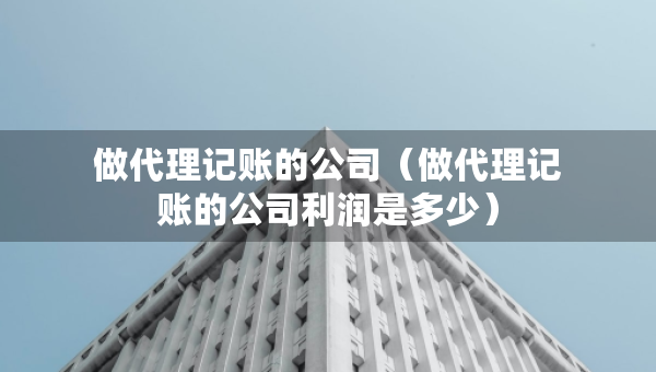 做代理記賬的公司（做代理記賬的公司利潤(rùn)是多少）