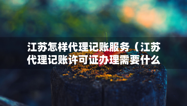江蘇怎樣代理記賬服務(wù)（江蘇代理記賬許可證辦理需要什么條件）
