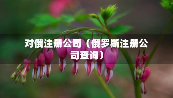 對俄注冊公司（俄羅斯注冊公司查詢）