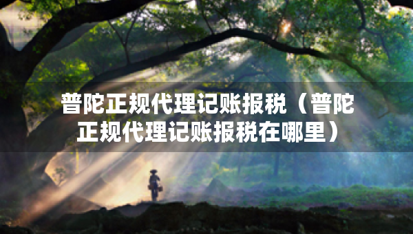 普陀正規(guī)代理記賬報(bào)稅（普陀正規(guī)代理記賬報(bào)稅在哪里）
