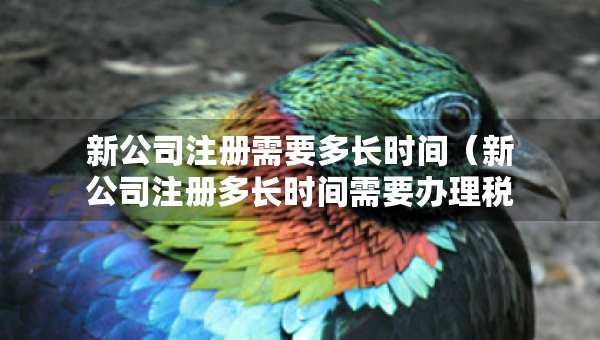 新公司注冊需要多長時間（新公司注冊多長時間需要辦理稅務(wù)）