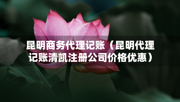 昆明商務(wù)代理記賬（昆明代理記賬清凱注冊(cè)公司價(jià)格優(yōu)惠）