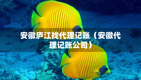安徽廬江找代理記賬（安徽代理記賬公司）