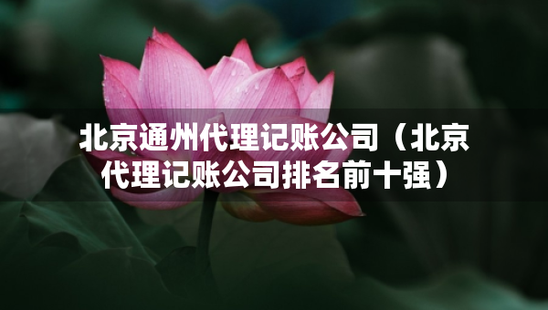 北京通州代理記賬公司（北京代理記賬公司排名前十強）