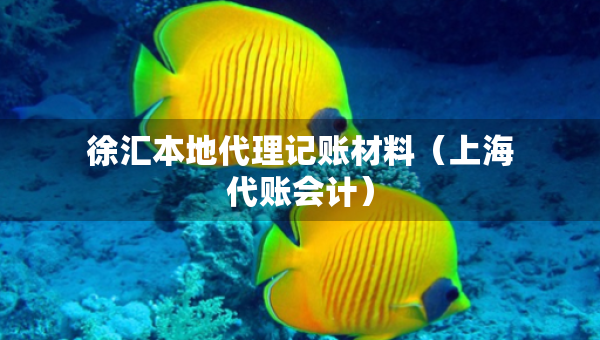 徐匯本地代理記賬材料（上海代賬會(huì)計(jì)）
