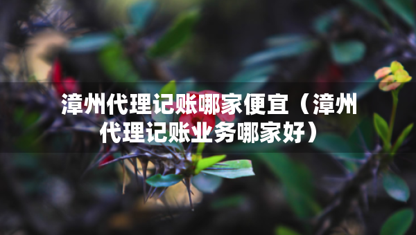 漳州代理記賬哪家便宜（漳州代理記賬業(yè)務(wù)哪家好）