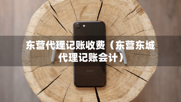 東營(yíng)代理記賬收費(fèi)（東營(yíng)東城代理記賬會(huì)計(jì)）